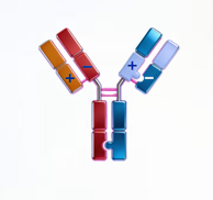 omnimab-img3.png