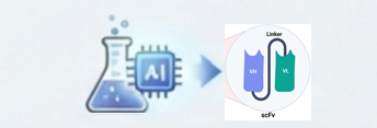 omnimab-scfv-2.png