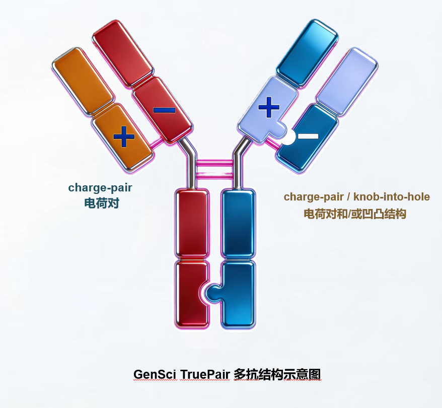 omnimab-truepair.png