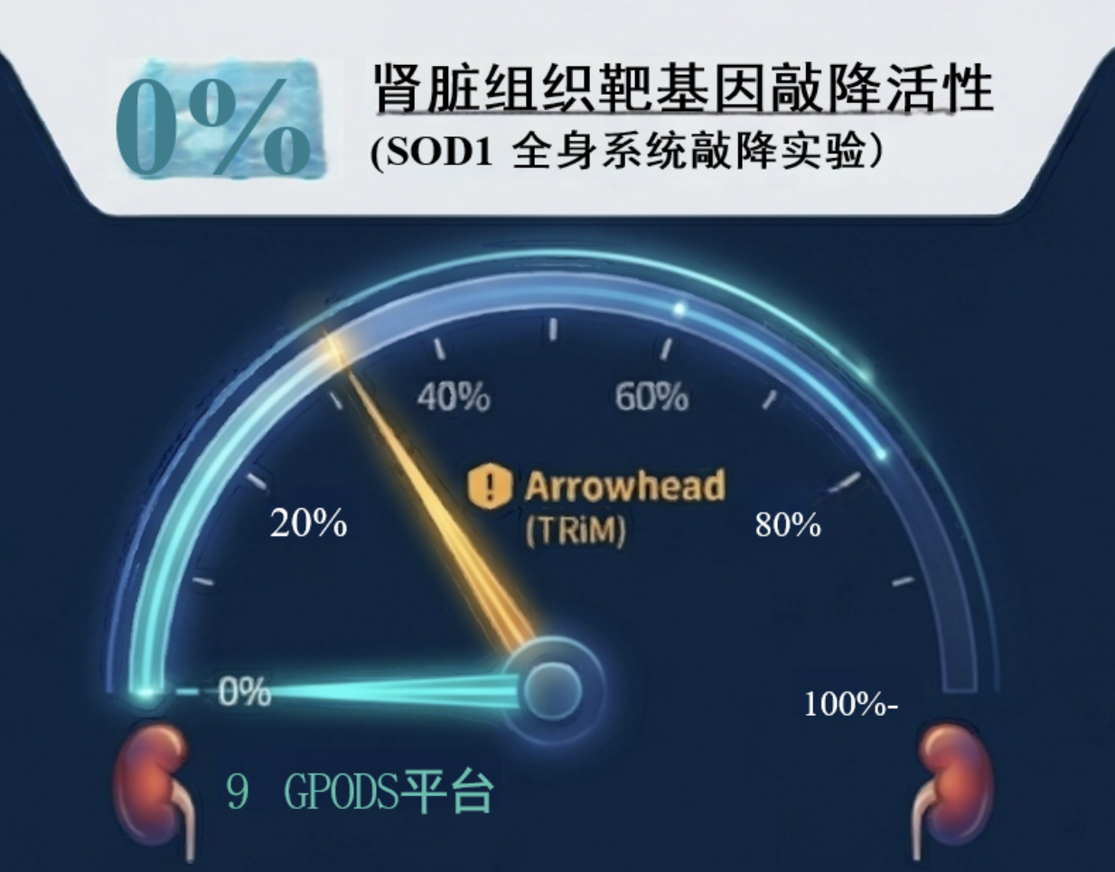 1779596000236904 WX20260524-121310@2x.png