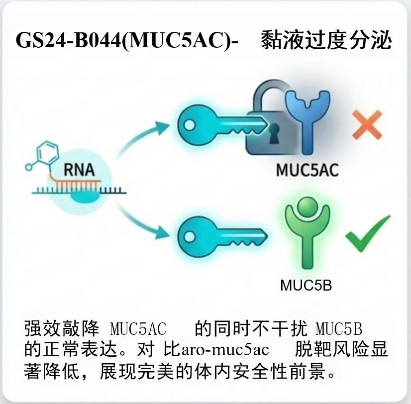 1779596479548517 gpods-11 (1).png